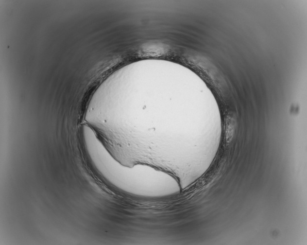 X0000097300455200803071755