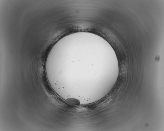 X0000097300456200803071756