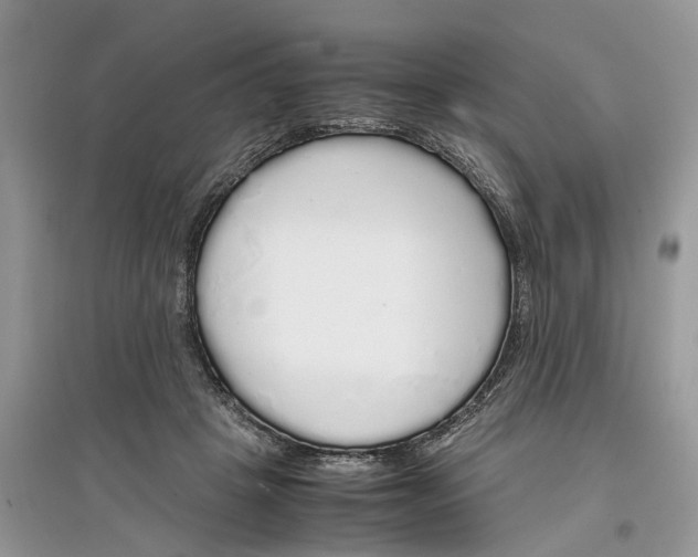 X0000097300457200803071756