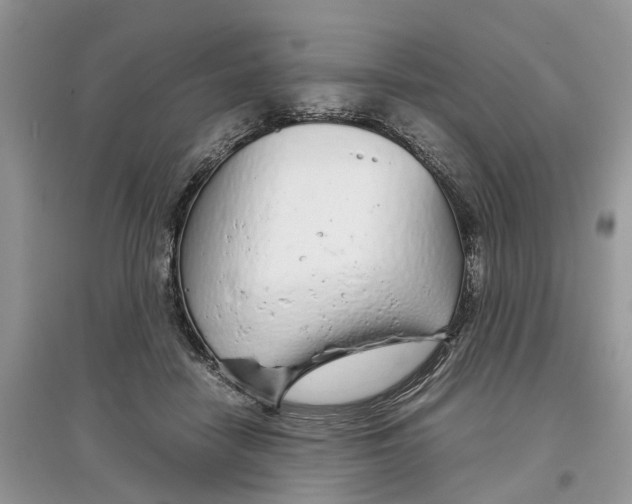 X0000097300458200803071756