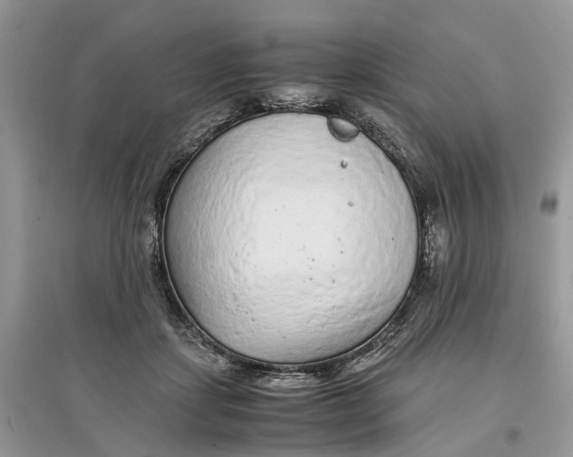 X0000097300459200803071756