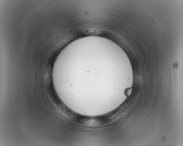 X0000097300460200803071756