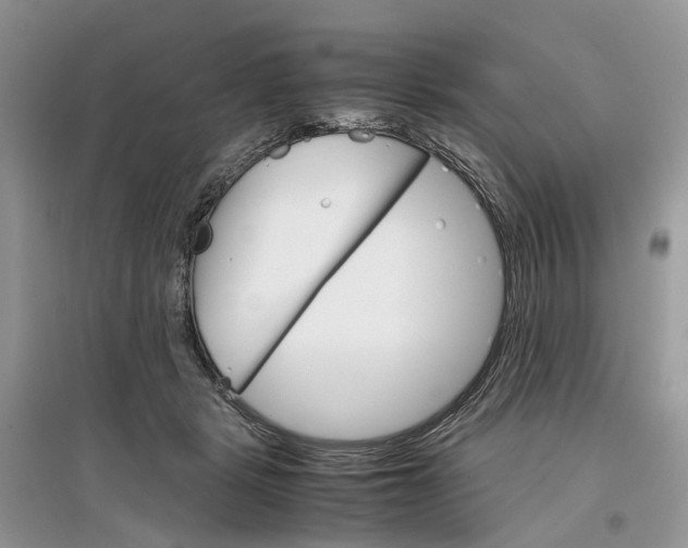 X0000097300461200803071756