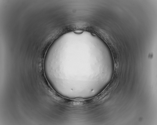 X0000097300462200803071756