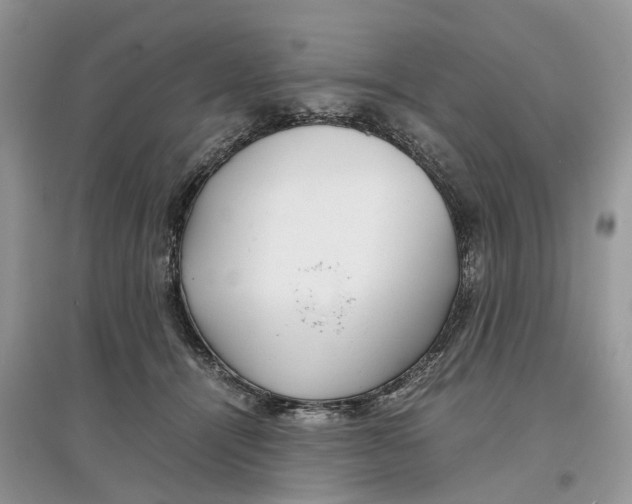 X0000097300464200803071756