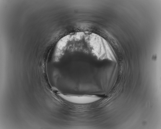 X0000097300465200803071756