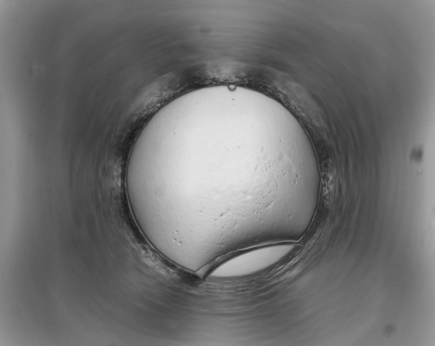 X0000097300466200803071756