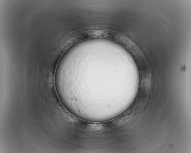 X0000097300469200803071756