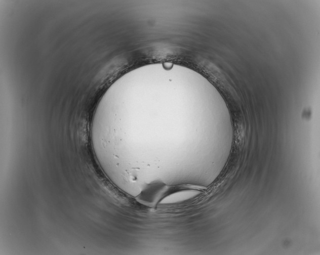 X0000097300470200803071756