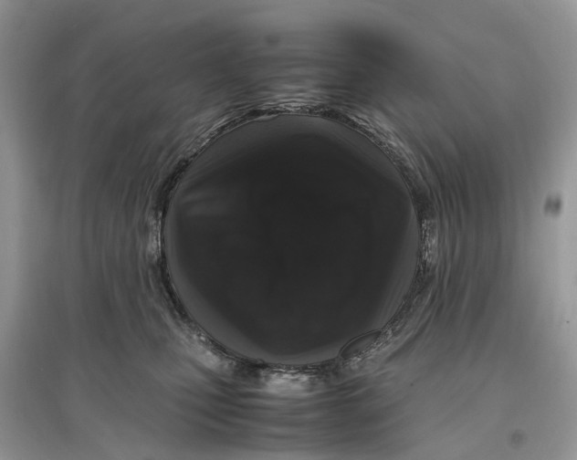 X0000097300471200803071756