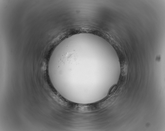 X0000097300472200803071756