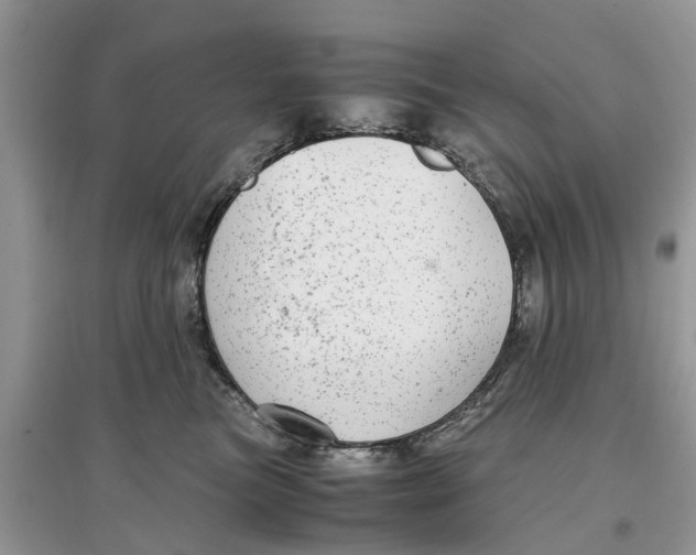 X0000097300473200803071756