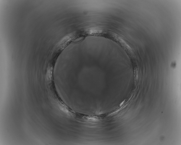 X0000097300475200803071756