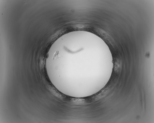 X0000097300476200803071756