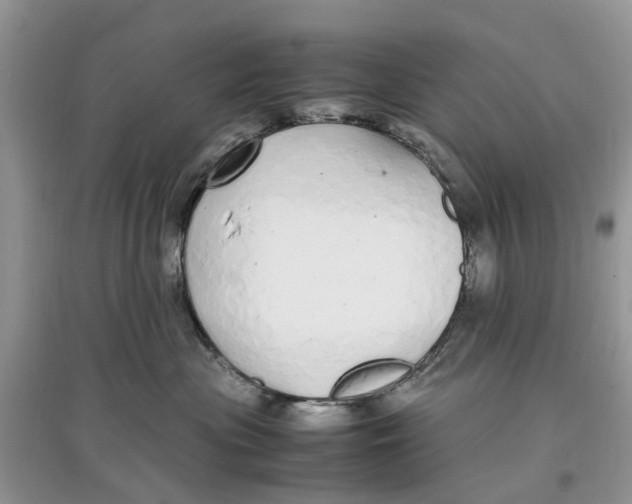 X0000097300477200803071756