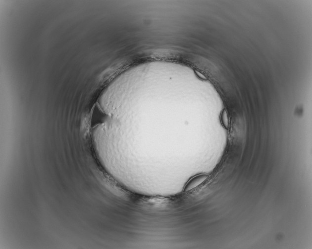 X0000097300478200803071756