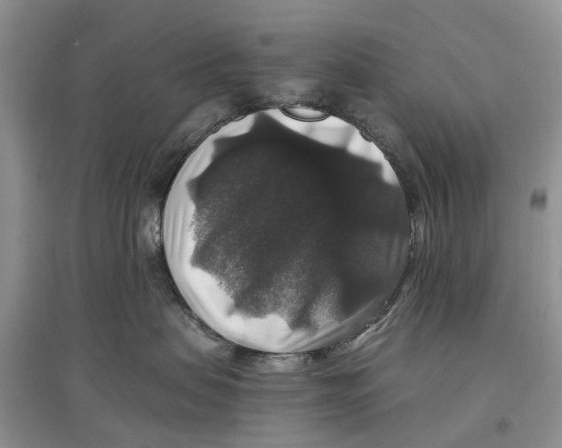 X0000097300479200803071756