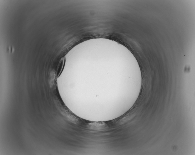 X0000097300480200803071756