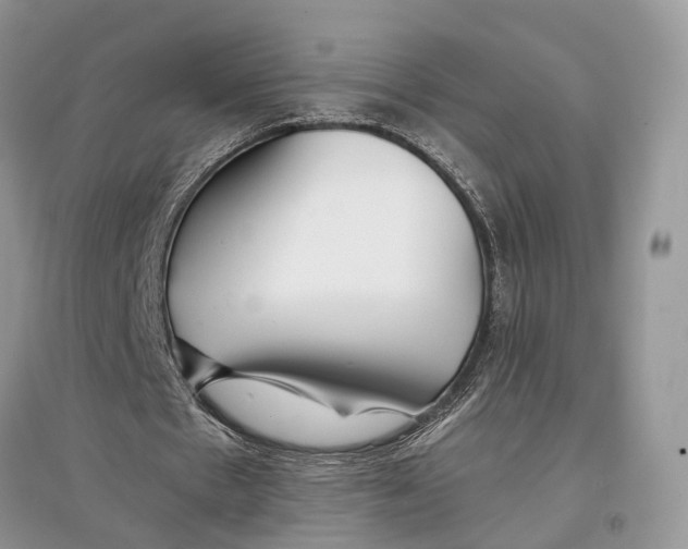 X0000097300481200803071755