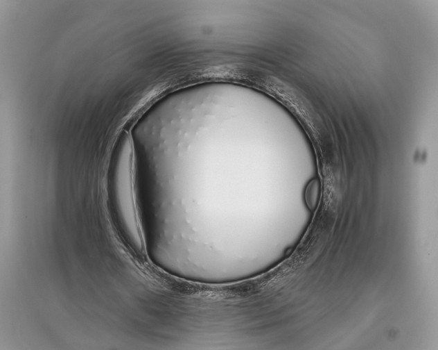 X0000097300482200803071755