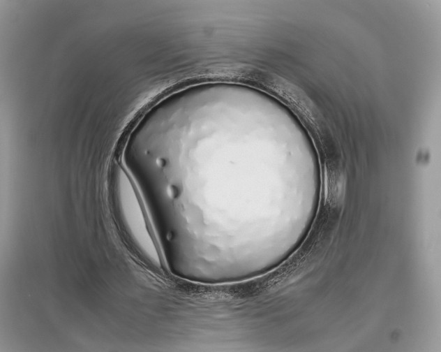 X0000097300483200803071755