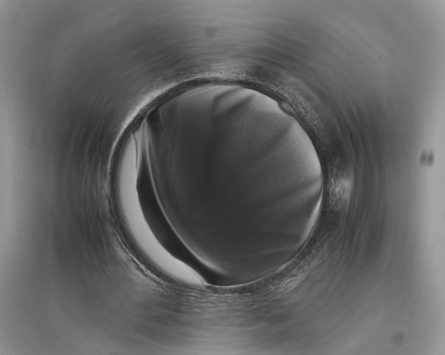 X0000097300484200803071755