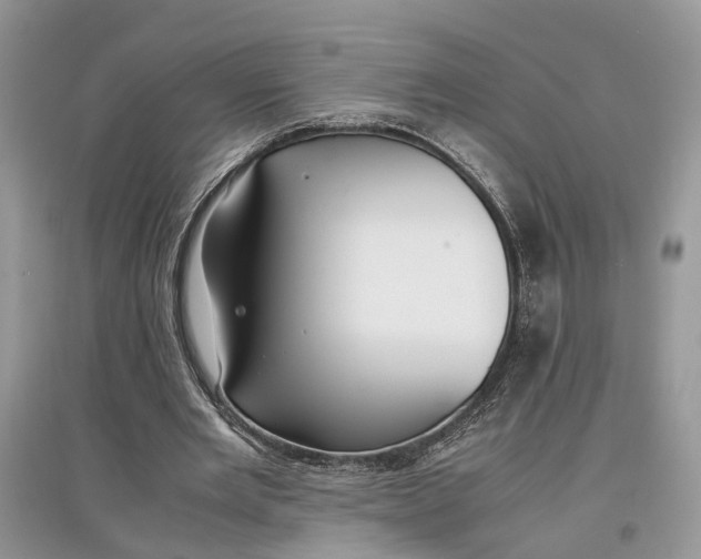 X0000097300485200803071755