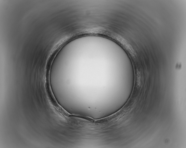 X0000097300486200803071755