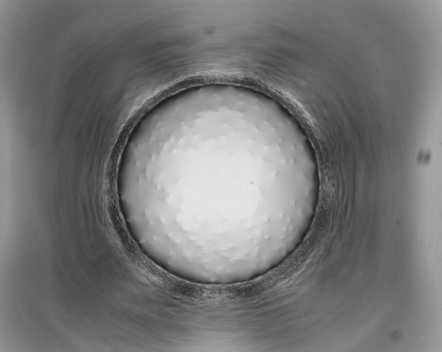 X0000097300487200803071755