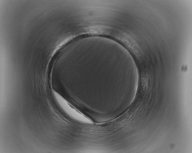 X0000097300488200803071755