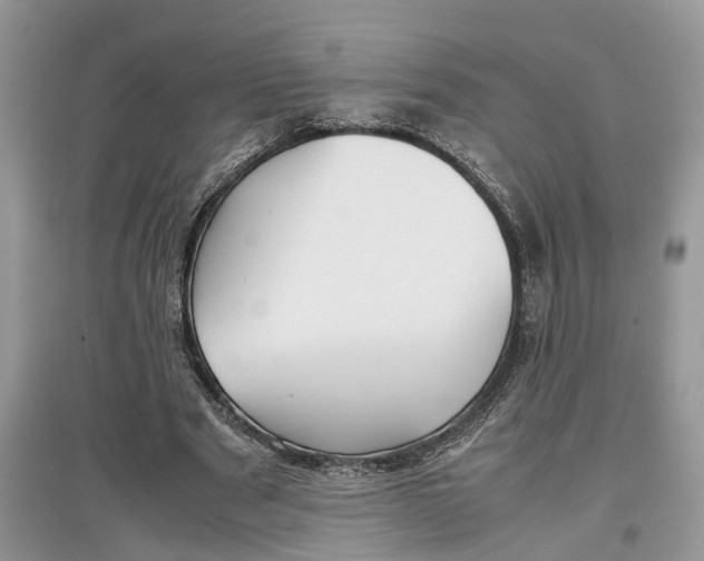 X0000097300489200803071755