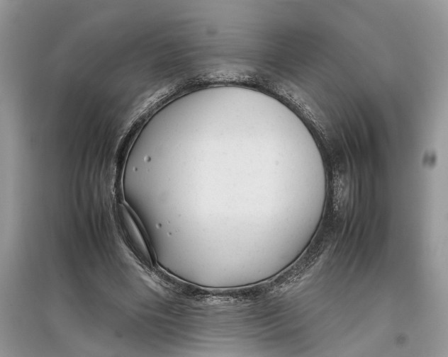 X0000097300490200803071755