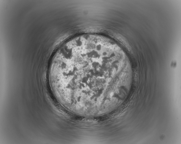 X0000097300491200803071755