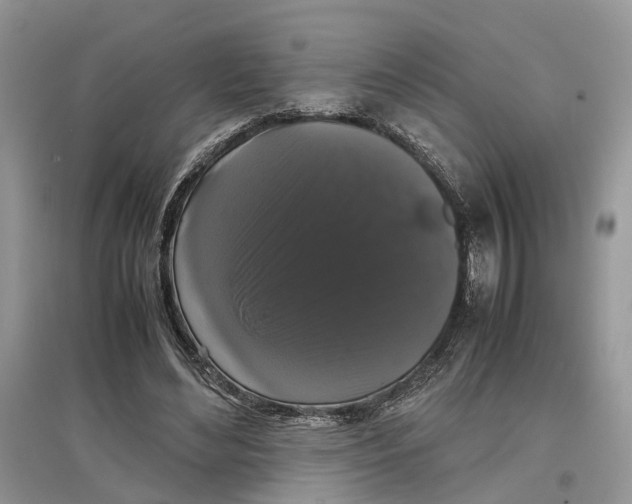 X0000097300492200803071755