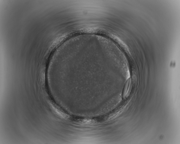 X0000097300493200803071755