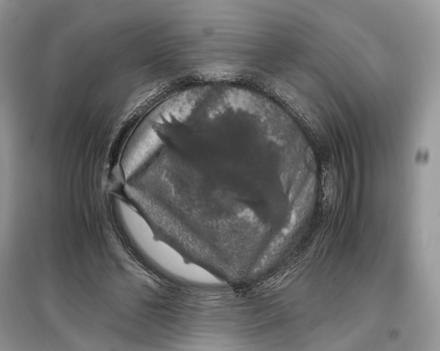 X0000097300494200803071755