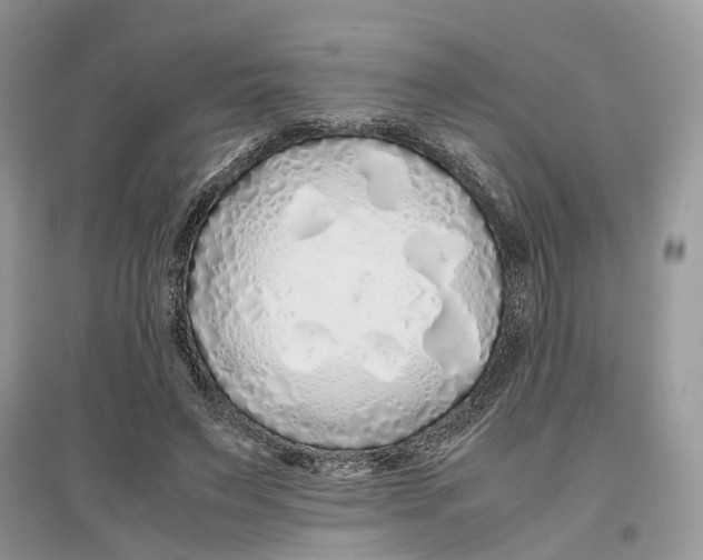 X0000097300495200803071755