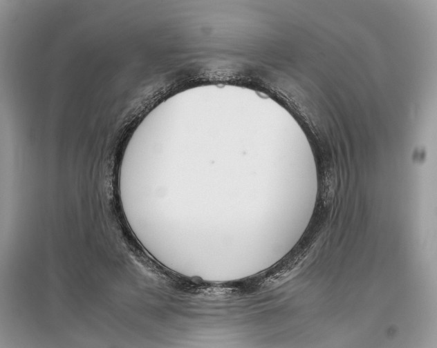 X0000097300497200803071755