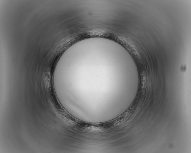 X0000097300498200803071755