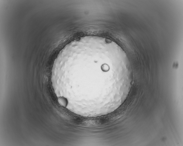 X0000097300499200803071755