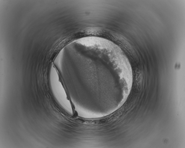 X0000097300502200803071755