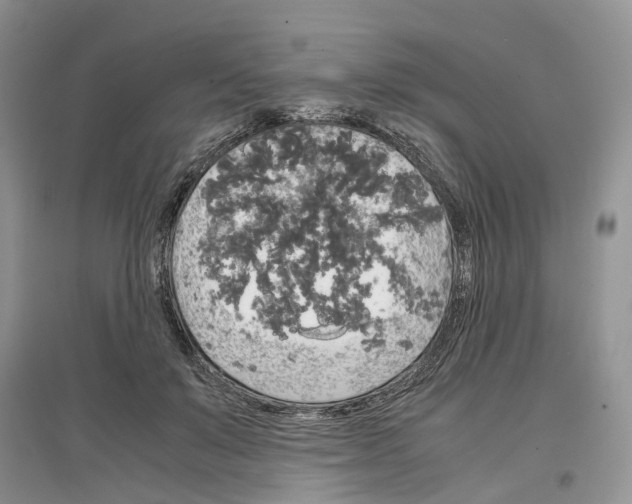 X0000097300503200803071755