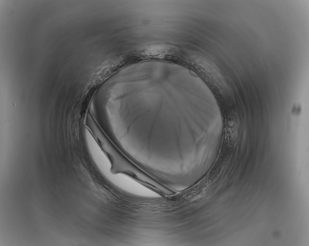 X0000097300504200803071755