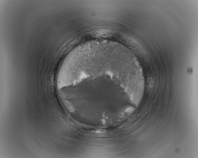 X0000097300506200803071755