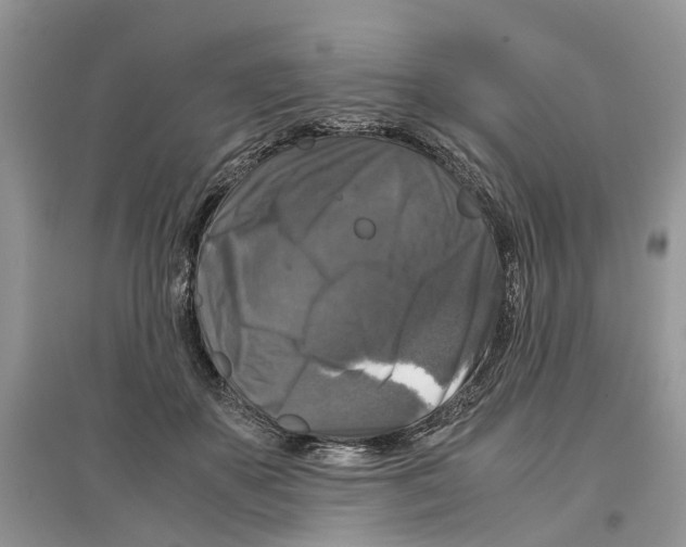 X0000097300507200803071755