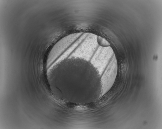 X0000097300508200803071755