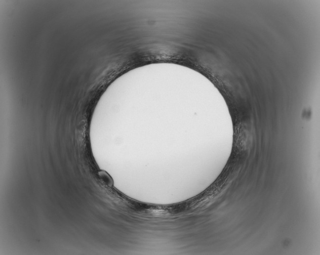 X0000097300509200803071755