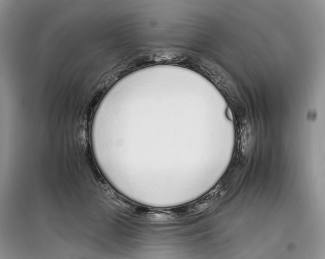 X0000097300510200803071755