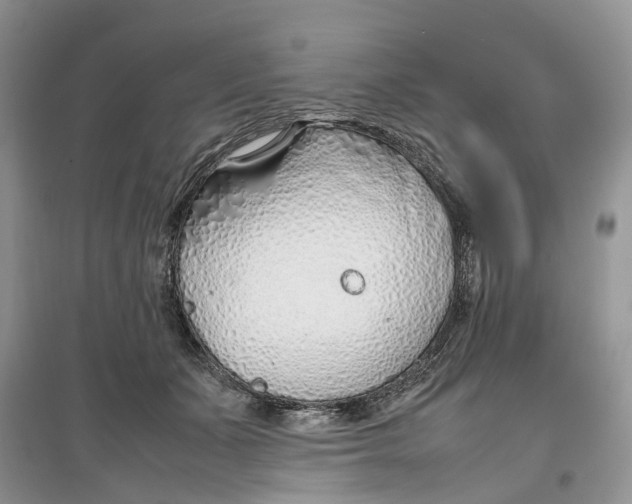 X0000097300511200803071755