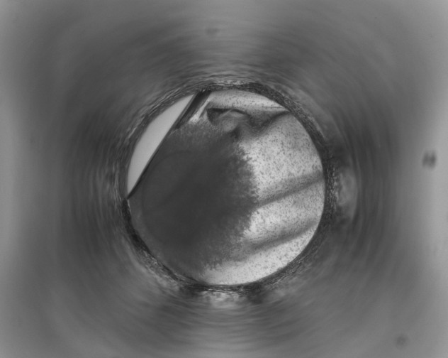 X0000097300512200803071755